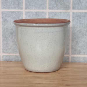 Rustik kruka i krämfärg, keramisk kruka för utomhusbruk med dräneringshål, medelstor glaserad trädgårdskeramik för örter, suckulenter, uteplatsbruk