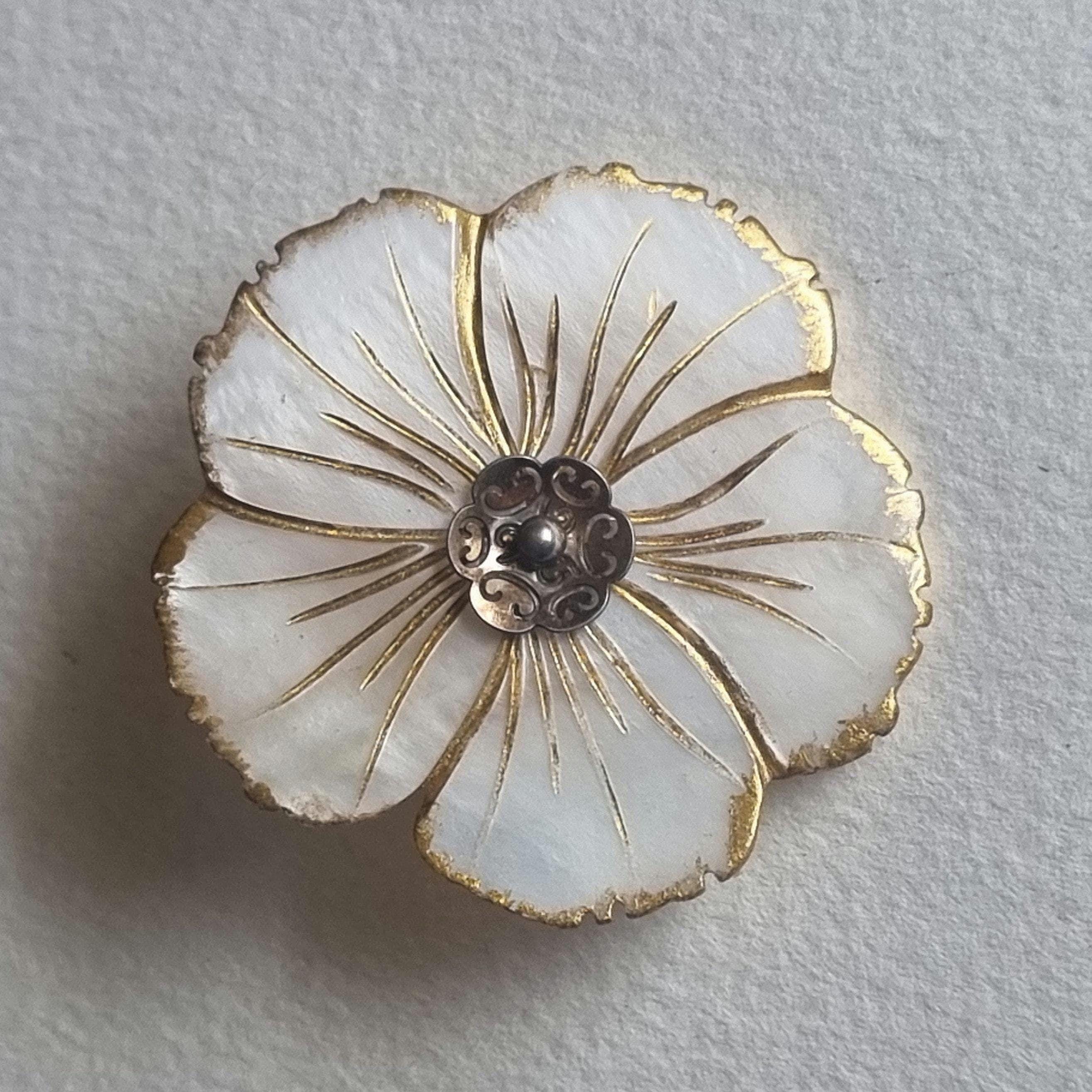 Degli Occhiali Rotti Stanghetta Di Occhiali Gli Occhiali