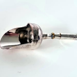 Può includere: Una paletta per il ghiaccio color argento con una coppa arrotondata e un manico. La paletta ha una trama martellata sulla coppa e un manico cilindrico liscio. Un piccolo anello color oro si trova alla base del manico.