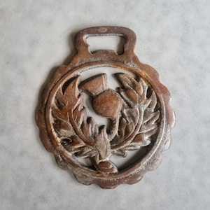 Vintage Thistle Horse Brass | Working Horse Harness Amulet | Traditional Scottish Draft Horse Medallion | Protective Talisman