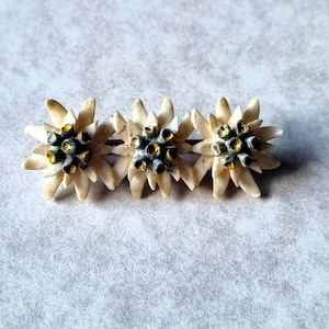 Vintage Austrian Carved Edelweiss Brooch | 1920s Celluloid Flower Pin | Spring Garden Jewelry | Botanical Collectible Statement Piece