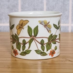Portmeirion Botanischer Garten Anagallis Kleiner Behälter | 1972 Vintage Keramik Dose | Schmetterlinge Botanische Kunst
