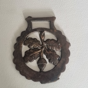Horse Brass Acorn and Oak Leaf  - Vintage Equestrian Decoration from England for Gifting and Authentic Wall Decor - Warm Patina - Good Luck