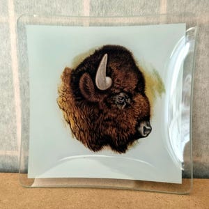Rzadki szklany talerz masoński Buffalo, Royal Antediluvian Order Jersey RAOB