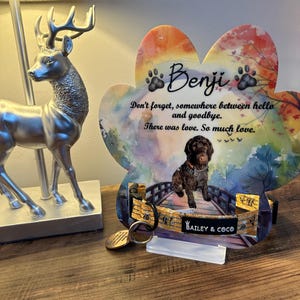 May include: A colorful paw print memorial with the name "Benji" and the text "Don't forget, somewhere between hello and goodbye. There was love. So much love." A brown and white dog is pictured on a bridge. The memorial is on a wooden surface with a gold dog collar and a tag that says "Bailey & Coco".