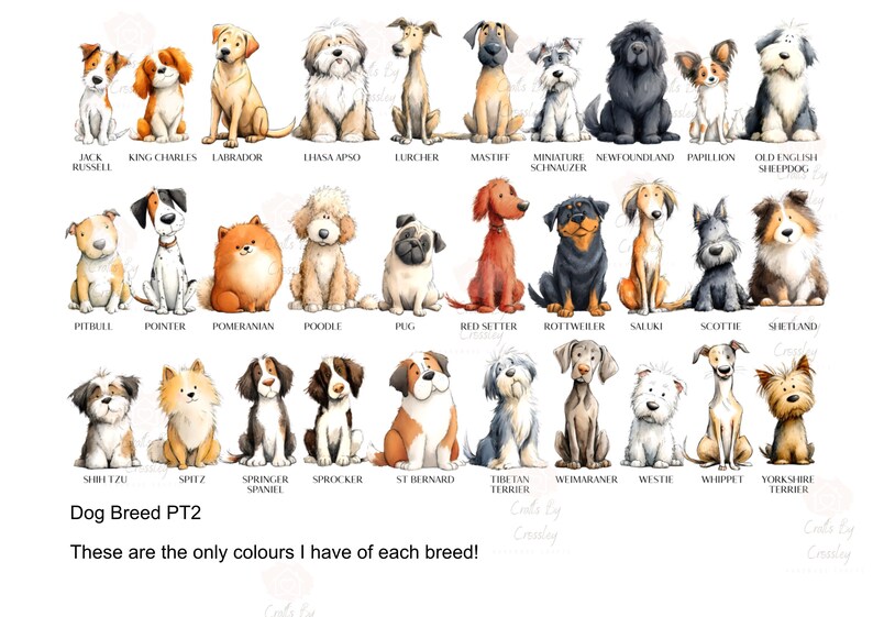 May include: Watercolor illustrations of various dog breeds, including Jack Russell, Labrador, and Yorkshire Terrier. The image features the text "Dog Breed PT2" and "These are the only colours I have of each breed!"