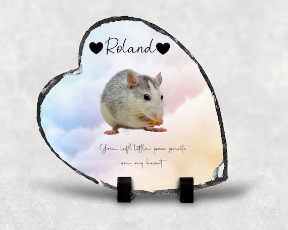 Rat Memorial Photo Slate Rat Memorial Slate Rat Photo Memorial