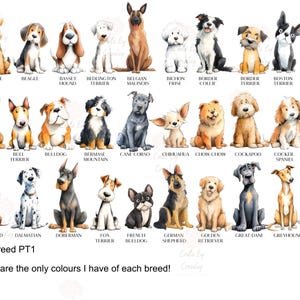 Personalised Birthday mug, any age, dog mug, dog owner birthday mug, birthday gift, 18th, 21st, 30th,40th,50th,60th, dog owner, dog breeds image 9