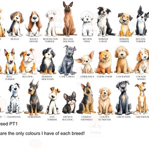 May include: Watercolor illustrations of various dog breeds, including Airedale Terrier, Beagle, and Basset Hound. Each dog is depicted in a seated position, with their breed name below. The image includes the text "Dog Breed PT1".