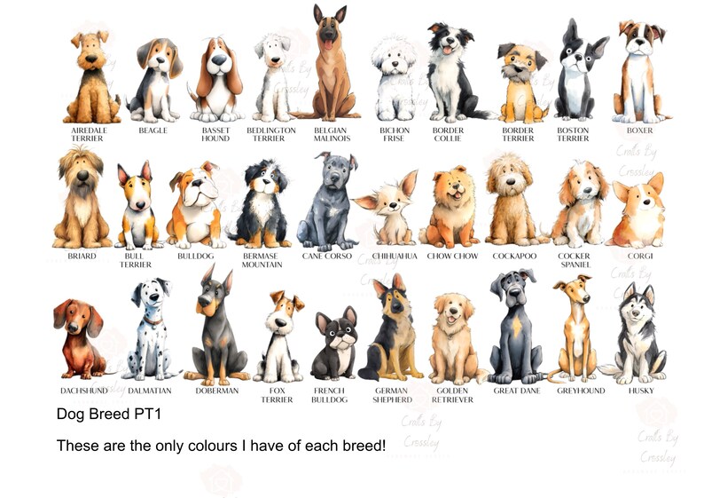 May include: Watercolor illustrations of various dog breeds, including Airedale Terrier, Beagle, and Basset Hound. Each dog is depicted in a seated position, with their breed name below. The image includes the text "Dog Breed PT1".