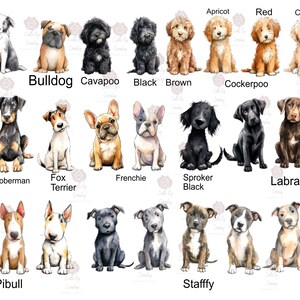 May include: Watercolor illustrations of various dog breeds, including Collie, Bulldog, Cavapoo, and Labrador. Each dog is depicted in a seated position, with a label indicating the breed name. The color palette includes black, brown, and cream.
