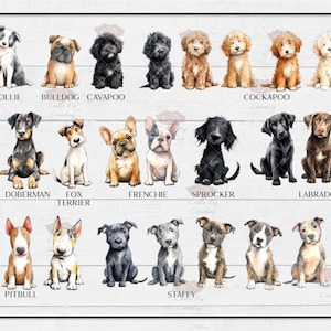 Personalised Birthday mug, any age, dog mug, dog owner birthday mug, birthday gift, 18th, 21st, 30th,40th,50th,60th, dog owner, dog breeds image 10