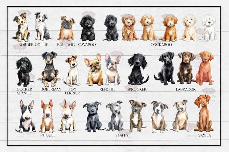 Personalised Birthday mug, any age, dog mug, dog owner birthday mug, birthday gift, 18th, 21st, 30th,40th,50th,60th, dog owner, dog breeds image 10
