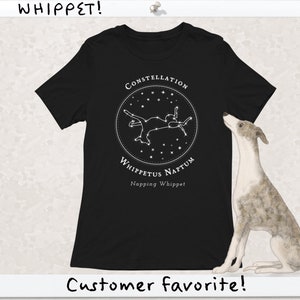 Whippet stuff 2025