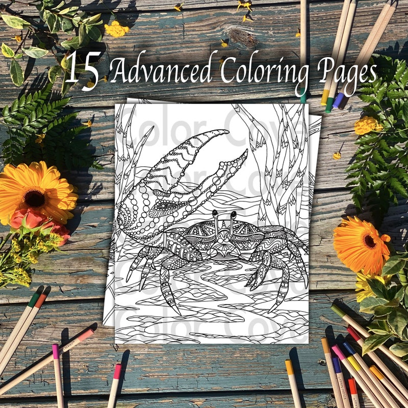 Advanced Coloring - Etsy
