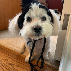 Pet winter hat with Pom pom