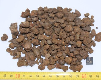 Lot of NWA 7920 meteorites - Pallasite PMG (029 - 250 grams)