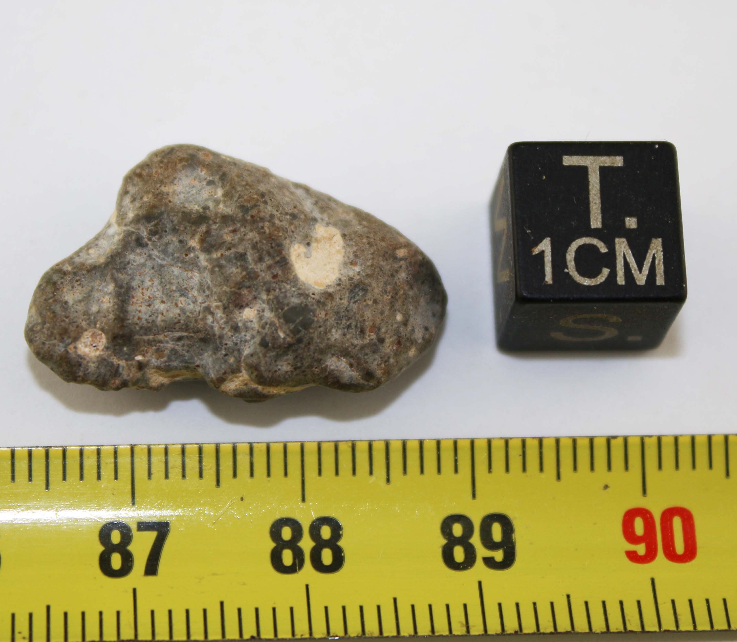 Lunar Meteorite Laâyoune 002 in a Feld Breccia Box (morocco Lunar Meteorite Laâyoune 002 in a Feld Breccia Box (morocco