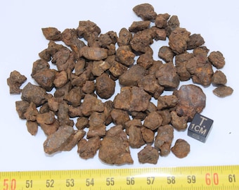 Lot of NWA 7920 meteorites - Pallasite PMG (029 - 100 grams)