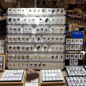 Puede incluir: Una vitrina con varios espec&iacute;menes de meteoritos en cajas de pl&aacute;stico transparente. Los meteoritos est&aacute;n dispuestos en filas sobre un fondo blanco. Algunos meteoritos son peque&ntilde;os y oscuros, mientras que otros son m&aacute;s grandes y tienen un aspecto m&aacute;s met&aacute;lico.