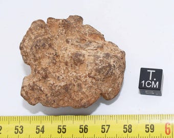 Al Haggounia 001 meteorite - EL chondrite impact melt rock (Morocco - 72 grams - 017**)
