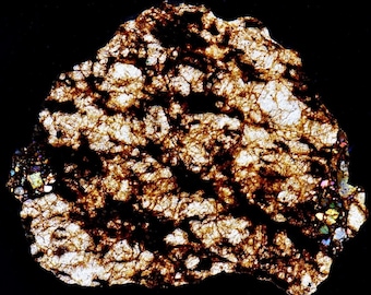 Meteorite thin section NWA 16454 - Ureilite Pmict (NWA - 058*)