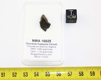 May include: A small, dark gray meteorite sample labeled "NWA 16025 Chondrite Carbonée CVred3" in a clear plastic display case with a 1 cm cube for scale. The label also includes information about the meteorite's discovery in Algeria in 2023, its total weight (1343 grams), and its talon weight (1.35 grams).