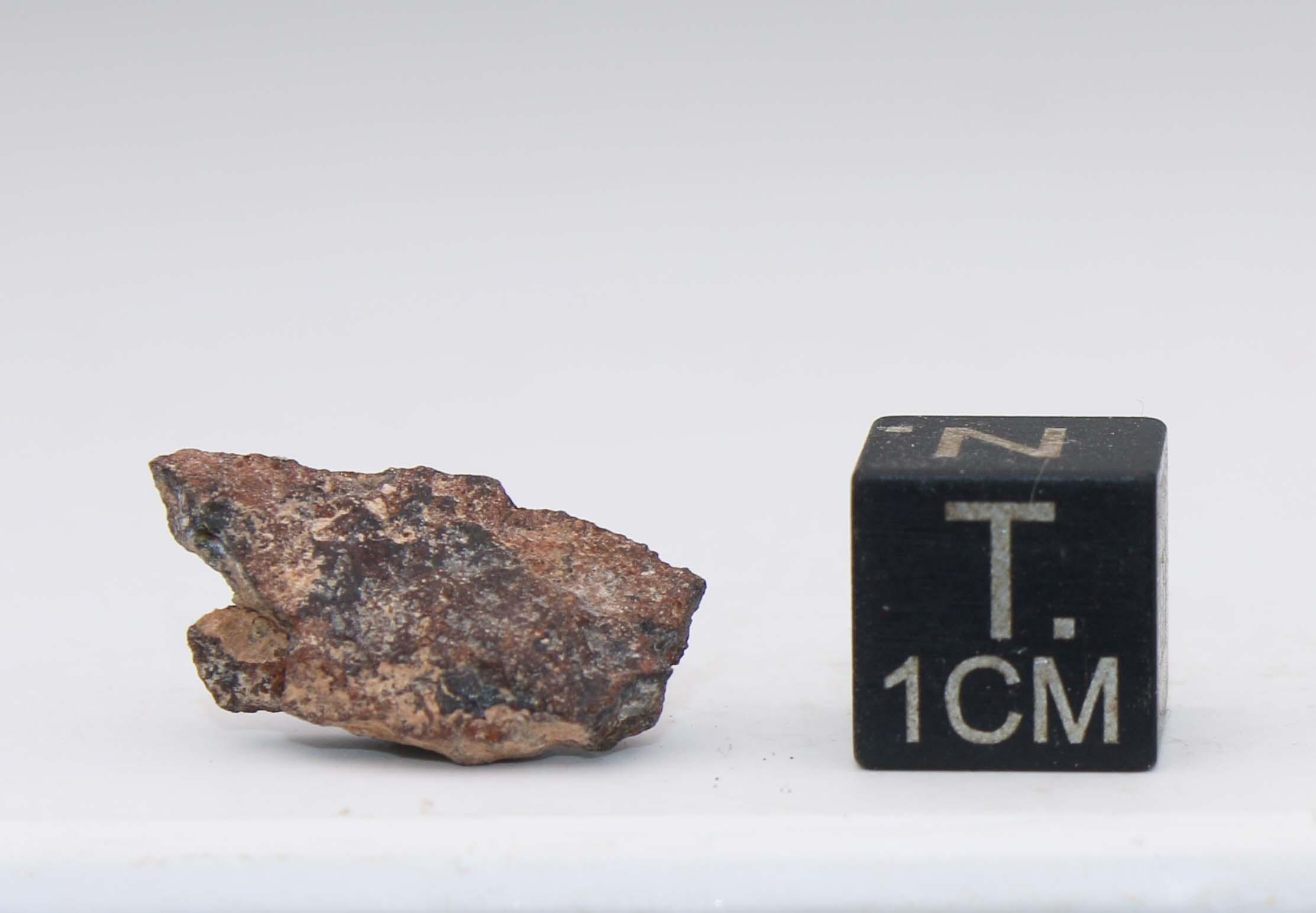 アル・ハグニア008隕石（箱入り） - コンドライトH5（モロッコ - 1.20