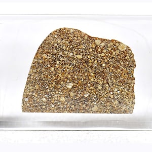 May include: A close-up of a light brown meteorite sample labeled "NWA 16351 H5 (S1/W4)".