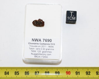 May include: A small, dark brown meteorite sample labeled "NWA 7690" in a clear plastic display case with a white label. The label includes information about the meteorite, including its type, discovery date, and weight. A black cube with "1CM" printed on it is included for scale.