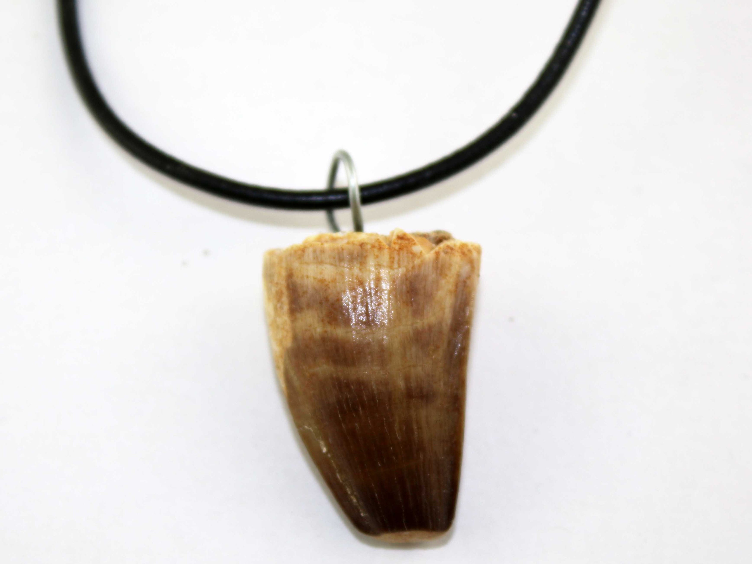 Buy T-rex Tooth Silver Pewter Pendant on A Waxed Cord Online in India - Etsy
