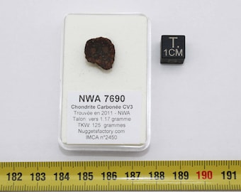 NWA 7690 Meteorite Talon in a box - Carbonaceous CV3 (NWA - 1.17 grams - 005 **)