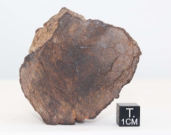 Meteorite fragment Al Haggounia 001 - EL impact chondrite melt rock (Morocco - 177 grams - 028**)