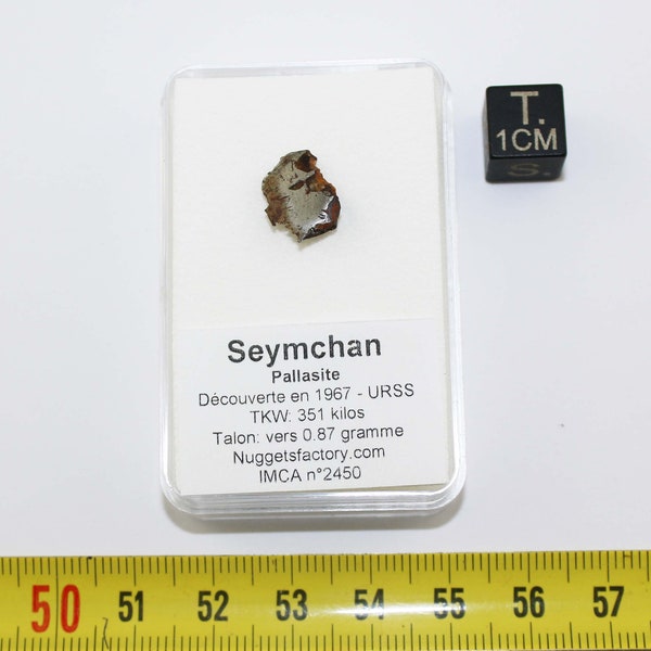 Talon de Météorite Seymchan dans une boite - Pallasite (Russie - 0.87 gramme - 003** )