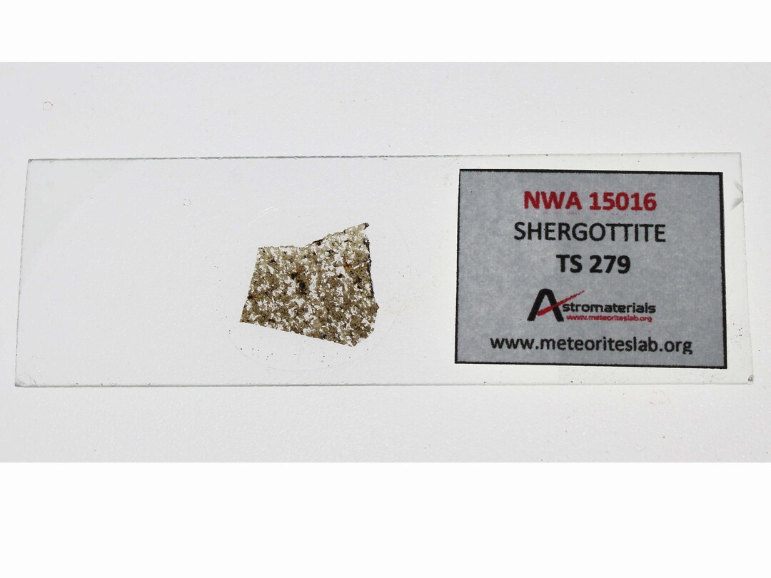 ⭐火星の石！シャーッゴッタイト NWA 12594 隕石標本