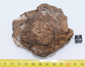 Al Haggounia 001 meteorite - EL chondrite impact melt rock (Morocco - 452 grams - 041**)