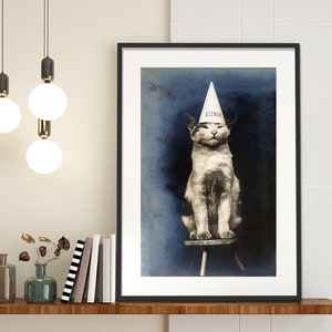 Cat in a Dunce Hat, Giclée Art Print.  A4/ A3/ A2 sizes