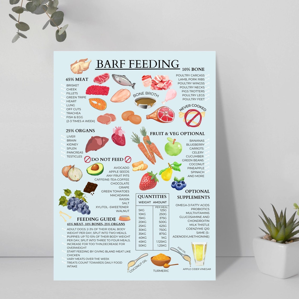 Dog Raw Food Guide Raw Diet for Dogs BARF Dog Guide BARF Guide BARF