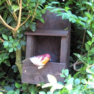 Brown (Dark Oak) Wooden Robin Wild Bird Nesting Box Wren Nest Wagtail Garden House