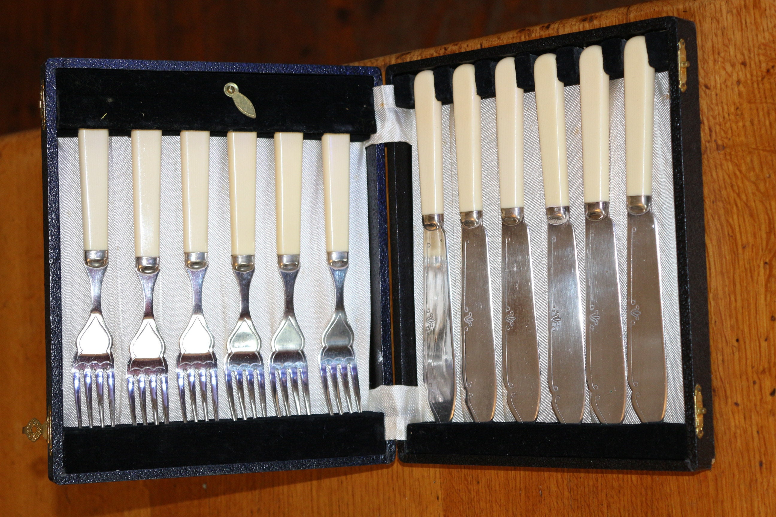 Vintage Boxed EPNS 12 Pc Cutlery Set of Fish Knives & Fork Ivorine