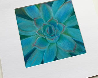 Botanical Art Print Featuring Echeveria Succulent