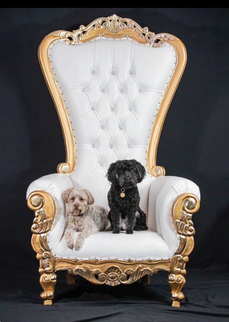 dog throne chair