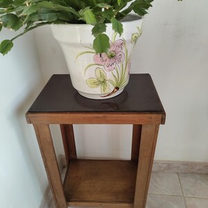 Peut inclure: Un support pour plantes en bois avec un plateau carré marron foncé et une étagère inférieure, portant un pot en céramique blanc orné de motifs floraux peints à la main en rose et vert, contenant une plante Schlumbergera aux tiges segmentées.