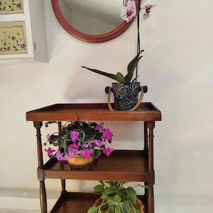 Może przedstawiać: Trzypoziomowy, ciemny drewniany stolik boczny prezentuje rośliny doniczkowe. Górna półka zawiera niebiesko-złoty kwiatowy doniczek z orchideą. Środkowa półka ma doniczkę z różowymi cyklamenami. Dolna półka ma zieloną roślinę w doniczce z żółtą obwódką. Nad nim wisi okrągłe lustro.