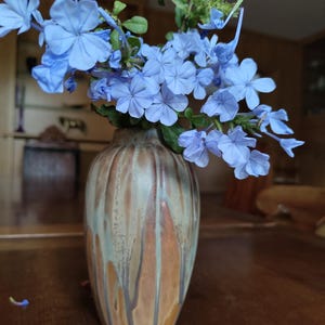 Peut inclure: Un vase en céramique avec un glaçage texturé et dégoulinant dans les tons de marron, beige et vert contient un bouquet de fleurs bleu clair. Le vase a une forme arrondie et repose sur une surface en bois sombre. Les fleurs ont cinq pétales.