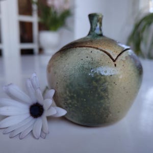 Peut inclure: Un pot en céramique fait à la main avec un couvercle, présentant un glaçage vert et beige moucheté. Une marguerite blanche avec un centre bleu foncé repose à côté du pot. Le pot a une forme unique et une découpe décorative sur le couvercle.