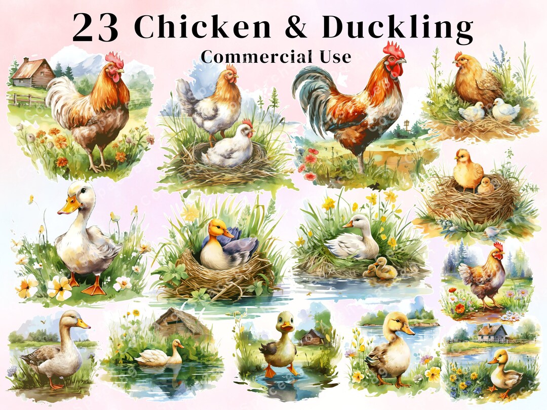 23 Watercolor Chicken Duck Clipart - Cute Chickens and Chicks, Farm ...