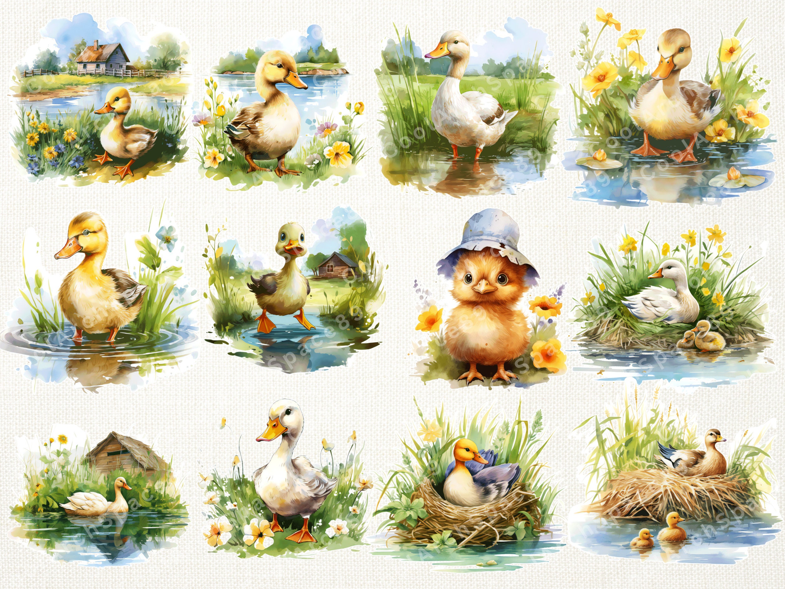 23 Watercolor Chicken Duck Clipart - Cute Chickens and Chicks, Farm ...