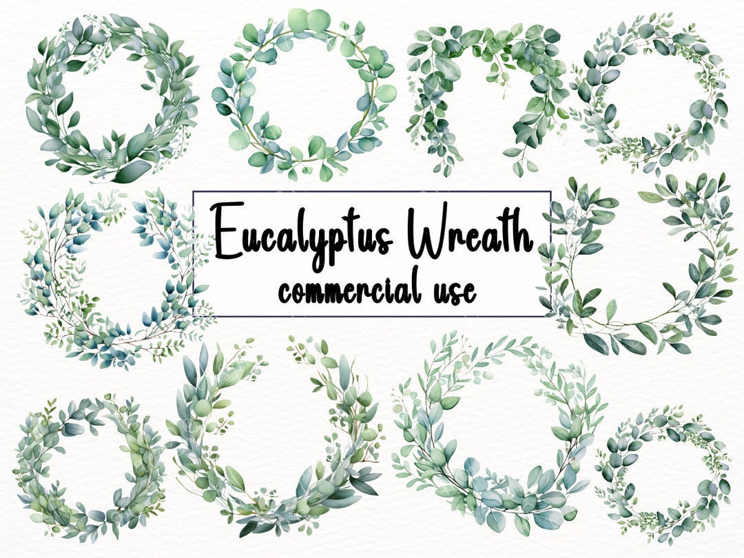 22 PNG Eucalyptus Wreath Clipart, Sublimation , Watercolor Leaves ...