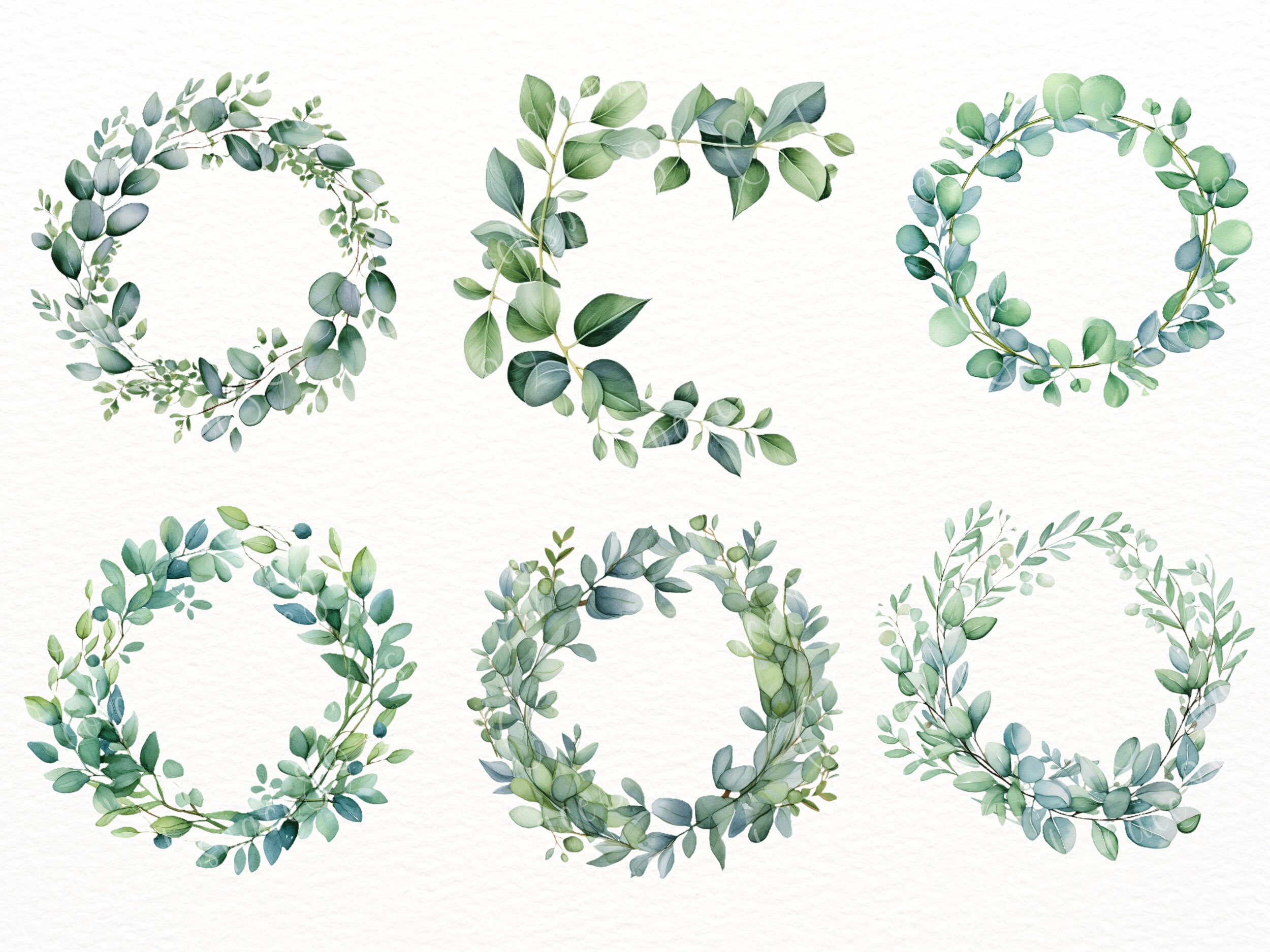 22 PNG Eucalyptus Wreath Clipart, Sublimation , Watercolor Leaves ...